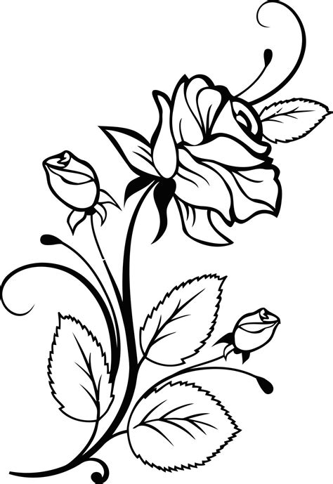 Rose Vine Vector At Getdrawings Free Download