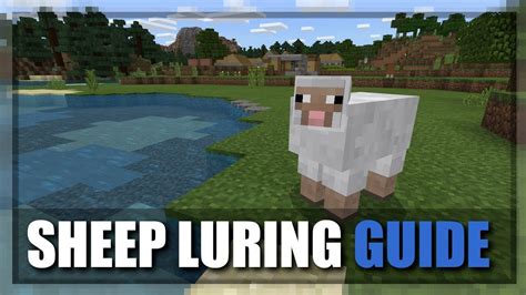How To Get Sheep In Minecraft Youtube