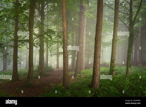 Hint Of Mist Hi Res Stock Photography And Images Alamy