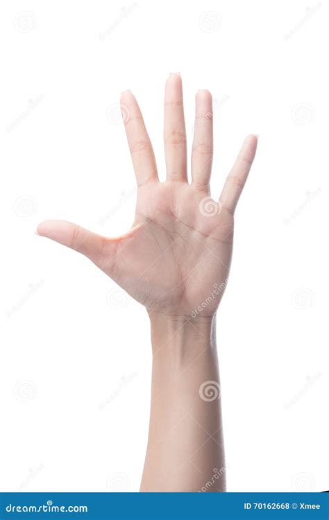 Counting Woman Hands Showing Five Fingersnumber 5 Stock Photo Image