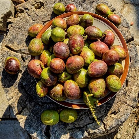 4 Manfaat Baik Matoa Buah Khas Papua Yang Mirip Kelengkeng Okezone