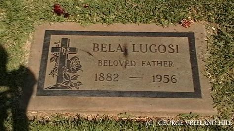 Grave Of Bela Lugosi Photo By George Vreeland Hill Bela Lugosi