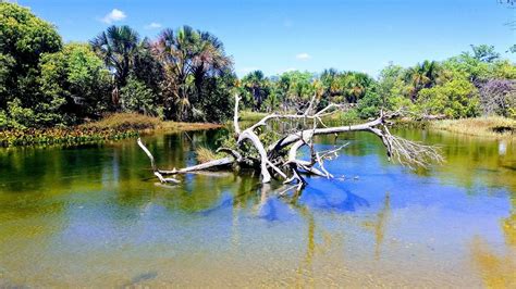 Ofertas a santa rita de cassia. Registro de Marcas em Santa Rita de Cássia, BA | Registrar ...