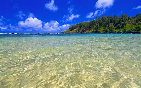 Hawaii Blue Green Sea Water Wallpaper 1440x900 Download