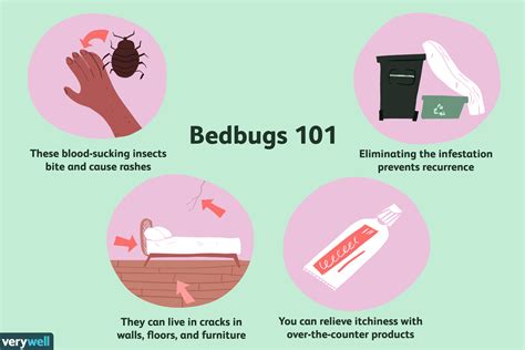 Bedbugs How To Get Rid Of Them Symptoms And More