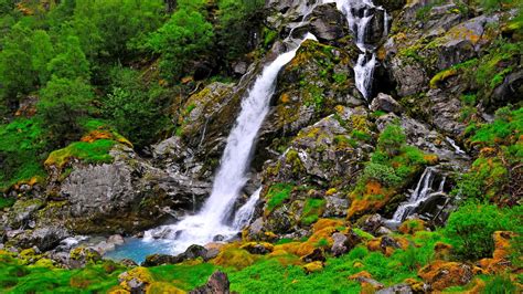 Waterfalls From Rocks Between Green Trees Plants Bushes Hd Nature