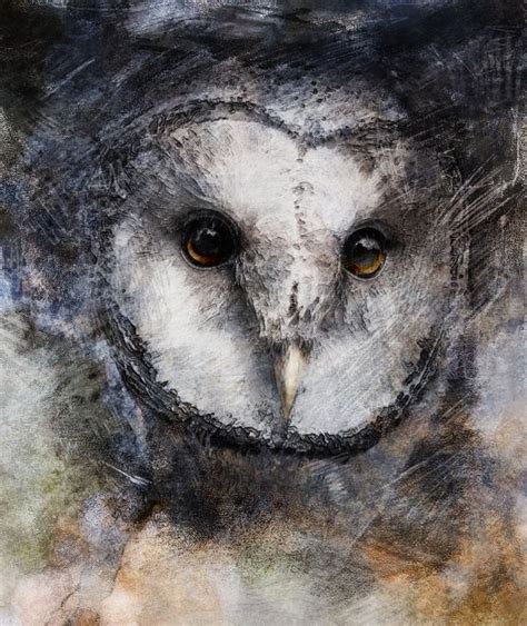 Eagle Owl Owl Sky Art Free Stock Photo Public Domain Pictures