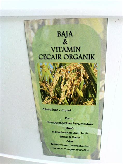 Hasil tanaman menggunakan baja organik tawan dang. BAJA & VITAMIN CECAIR ORGANIK BERTERASKAN SERAI WANGI