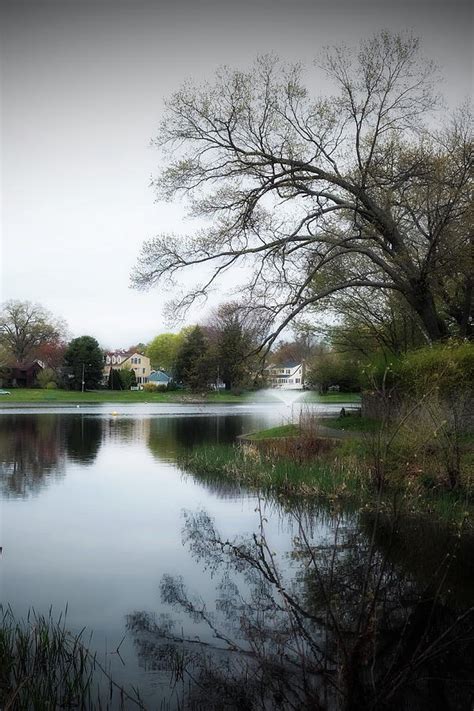 Brewster Pond Stratford Ct Photograph By Thomas Henthorn Fine Art