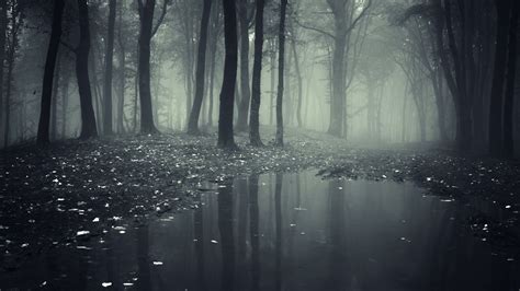 4k desktop wallpapers album on imgur. Nature Rain Wallpaper ·① WallpaperTag