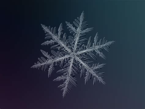 Quality photo processing of such small object, as snow crystal, requires time, patience and effort. How do snowflakes form? | How It Works Magazine