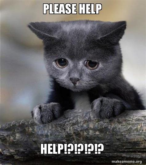 Check spelling or type a new query. please help help!?!?!?!? - Confession Cat | Make a Meme