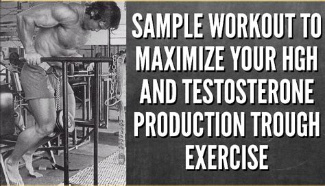Best Exercises To Increase Testosterone Levels Range