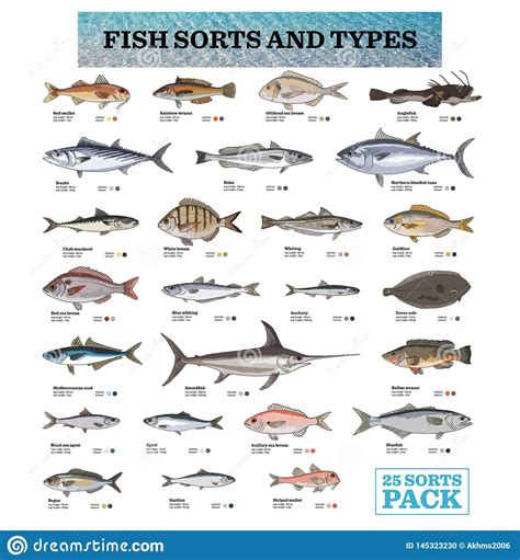 25 Species Of Fish With Its Names Fish Sea Fish Species