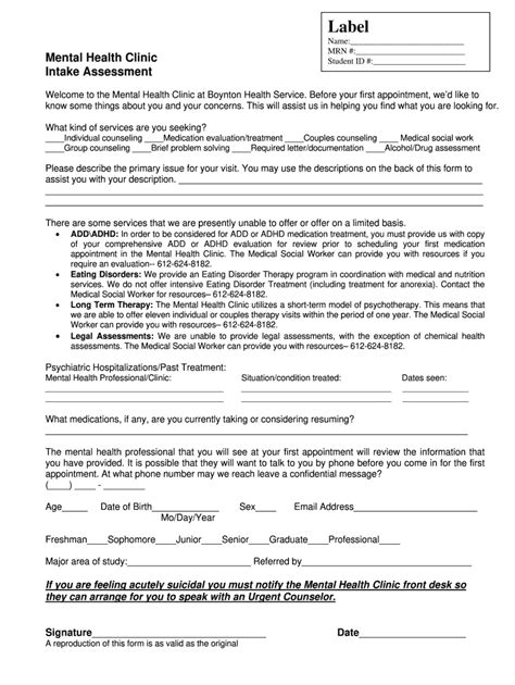 Mental Health Intake Assessment Fill Out And Sign Online Dochub