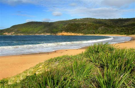 Maitland Bay Track Nsw Holidays And Accommodation Things To Do