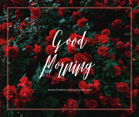 Good Morning Images Of Rose Aesthetic Roses Wallpaper Pc 940x788