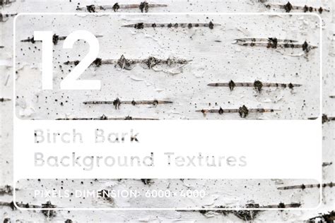 12 Birch Bark Background Textures Filtergrade