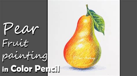 Realistic Pear Fruit Drawing In Color Pencil Step By Step