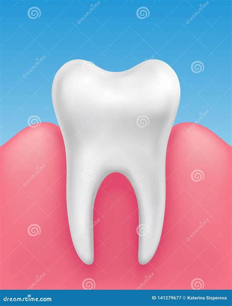 Vector White Single Tooth In Healthy Gums On Blue Background