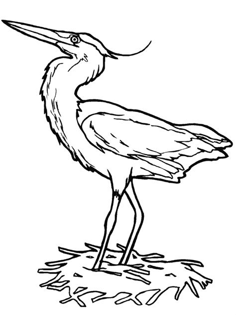 Heron Coloring Pages Best Coloring Pages For Kids