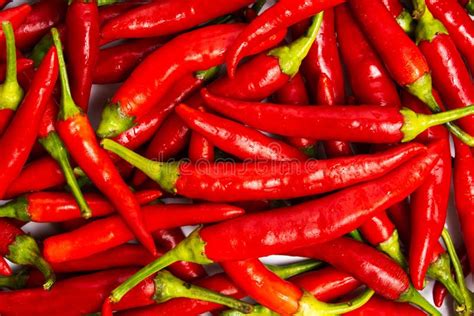 Small Thin Green Chili Peppers Stock Photos Free And Royalty Free Stock