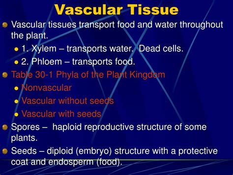 As plants evolved to be larger, they also developed their own kind of. PPT - Ch. 30 Plant Evolution & Classification PowerPoint ...