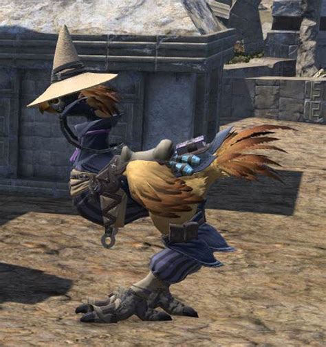 FFXIV Chocobo Barding Guide Updated Patch ESCUELA SECUNDARIA KIEN THUY