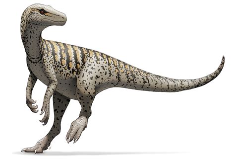 Herrerasaurus Wiki Prehistórico Fandom