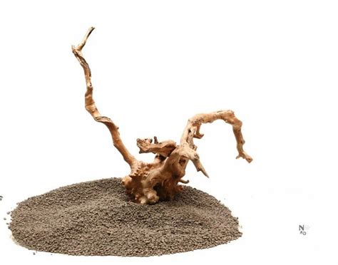 Maybe you would like to learn more about one of these? Spider Wood Aquarium Driftwood 14"x8"x10" (LxWxH) Stump ...