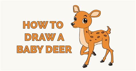 Deer Drawing Easy Cute Zachery Reich