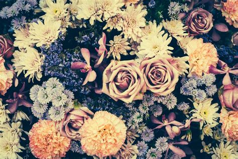 The photos are free to download and also rayalty free. Vintage flower background ⬇ Stock Photo, Image by ...
