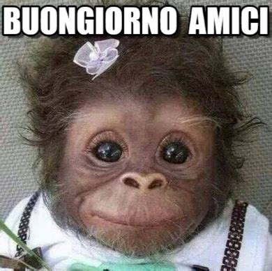 Buon compleanno luca immagini divertenti buon compleanno luca immagini divertenti on this website we recommend many designs abaout buon comp. Ultime Notizie Flash