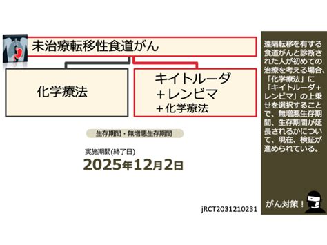 日本がん対策図鑑 【淡明細胞型腎細胞がん：一次治療】「テセントリク＋カボメティクス（60mg日）」vs「テセントリク＋カボメティクス