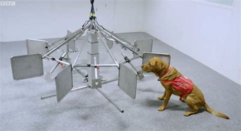 Should i get a pet scan to detect cancer? Can Dogs Detect Cancer In Humans? - Dogtime