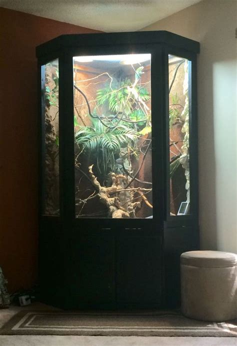 Getting this right from the start will give your veiled chameleon a great chance to have a long and. 034dragon Habitat Diy | Reptile enclosure, Lizard cage, Reptile habitat