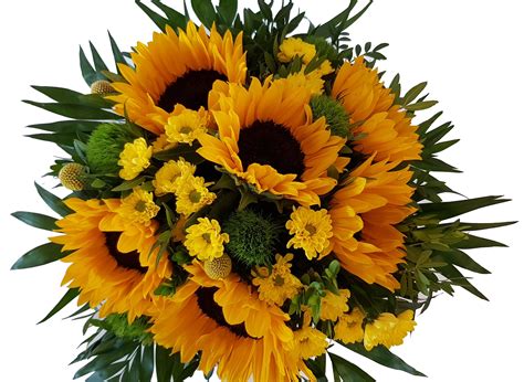 Egal, ob sie danke, mama, ich liebe dich oder alles gute sagen möchten: Blumenstrauß mit frischen Sonnenblumen ☼ Strahlen der Sonne