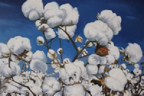 Texas Couples Passion For Cotton Earns Basf Catalog Cover Cotton Grower