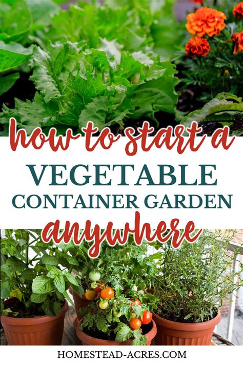 Vegetable Container Gardening For Beginners Homestead Acres