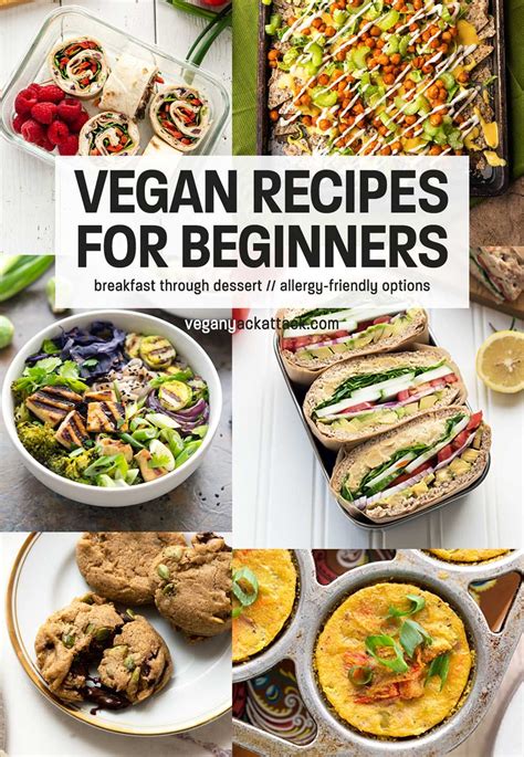 Vegan Recipes For Beginners Raw Vegan Recipes Easy High Protein Vegan