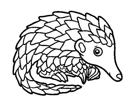 You'll be taken to a thank you page after the payment. Pangolin coloring page - Coloringcrew.com