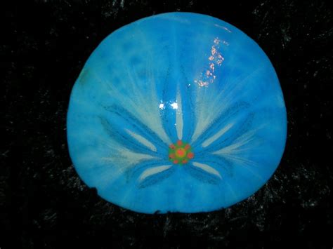 Hand Painted Sand Dollars Ocean Angels Sand Dollar Art Painted