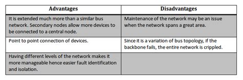 Network Classification By Network Topology Thecheesygeek