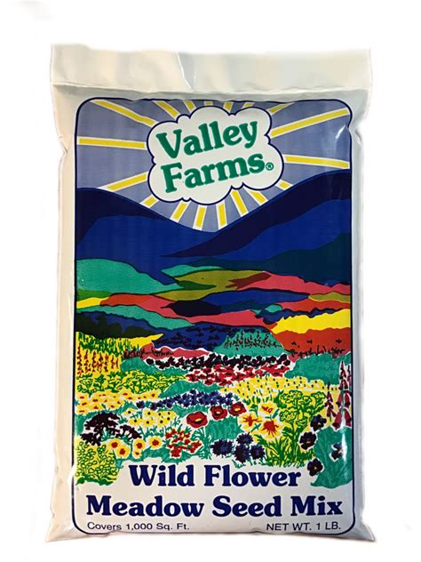 Valley Farms Wildflower Meadow Seed Mix 1 Lb Covers 1000 Sq Feet