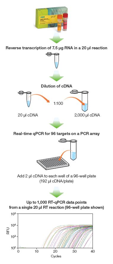 If rna is sheared beforehand, oligo(dt). iScript Advanced cDNA Synthesis Kit for RT-qPCR | Life ...