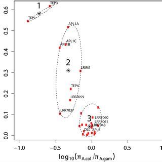 Our detector is based on curvilinear structure model, defined observing the real world. (PDF) An Evolution-Based Screen for Genetic ...