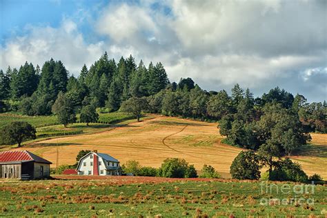 Farm House Dayton Oregon Photograph By Oregon Photo