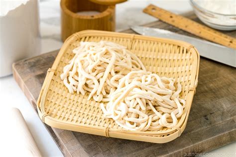 Udon Noodle Soup Kake Udon かけうどん 2023