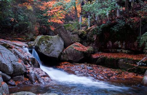 Waterfall And Red Autumn Leaves Stock Image Image Of Full Color