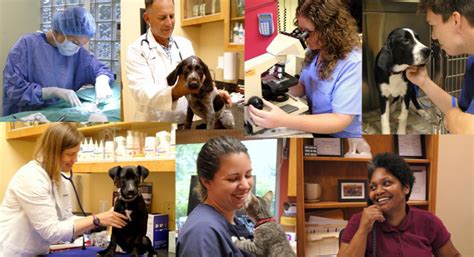 Visit monticello animal hospital in monticello, in and save 25% on your vet bill with a pet plan by pet assure. Monticello Animal Hospital, Your Pet's Family Veterinarian ...